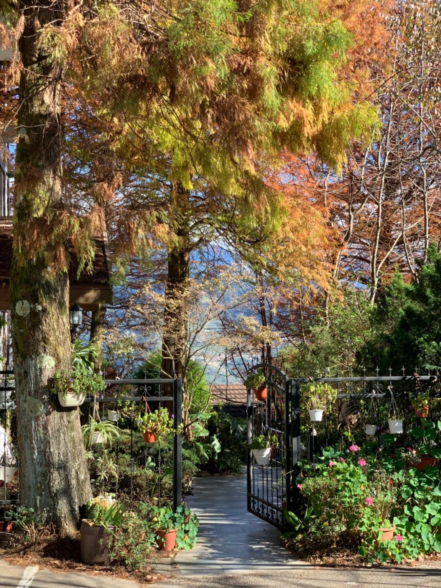 仁爱乡清境珂之幄山庄住宿加早餐旅馆 外观 照片